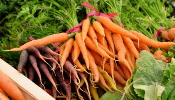 Camberley Farmers’ Market welcomes Rhubarb & Bramley