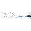 Alliance HR-logo-image
