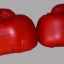 Sporting Ring Amatuer Boxing Club-logo-image