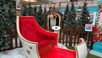 The Square holds #SQRudolph social media competition to win big this Christmas<a></a>
