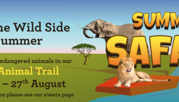 walk on the Wild Side – Summer Safari at The Square