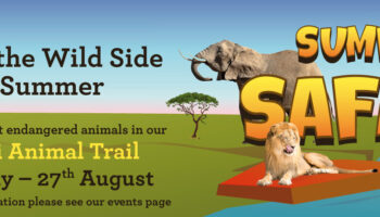 Summer Safari – Walk on the Wild Side at The Square