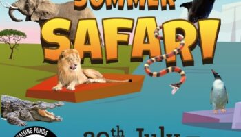 Go wild this summer with FREE activities at The Square Camberley