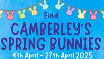 Find Camberley’s Spring Bunnies